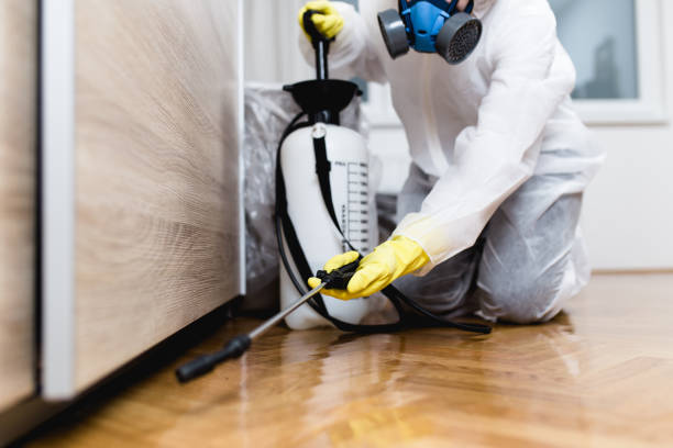 Best Pest Prevention Services  in Terrace Heights, WA